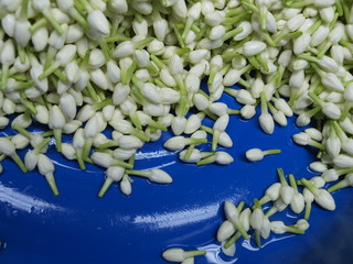 Petalos en el mercado de las flores de Bangkok (Tailandia)