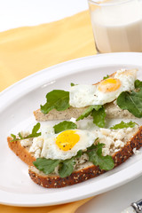 Open-Faced Sandwich with Fried Egg