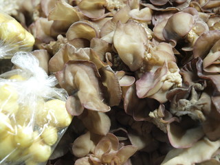 Setas en un mercado de Bangkok (Tailandia)