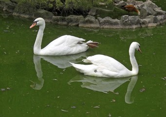 Picardie domaine de Naours