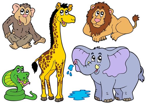 Various African animals