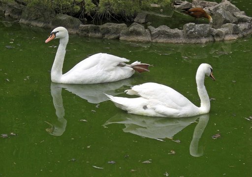 Picardie domaine de Naours