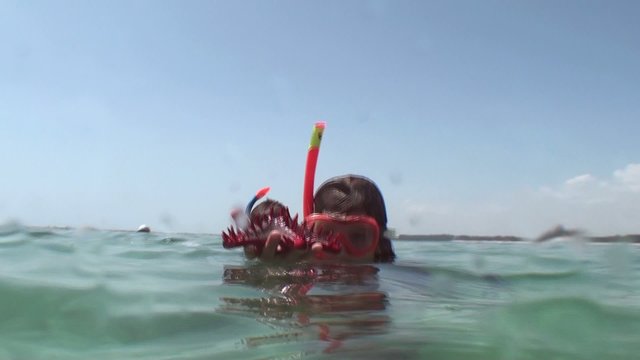 enfant et etoile de mer