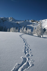 Spuren im Schnee