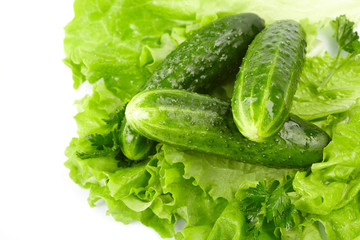 cucumbers and lettuce on the white background
