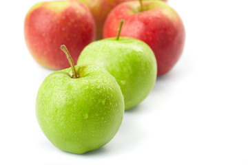 apples on the white background