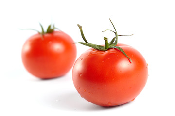 fresh tomatoes