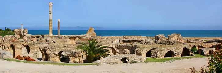 Rolgordijnen Thermen van Carthago © photlook