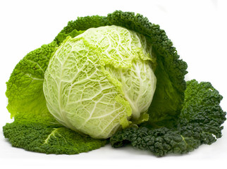 Fototapeta premium Cabbage