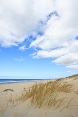 Fototapeta na wymiar Sand dunes near to the sea