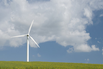 wind turbines generating power