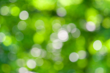 defocused background