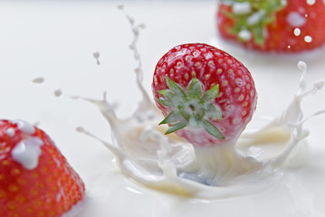 Erdbeeren platschen in Milch