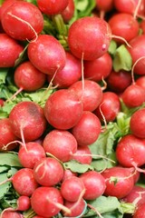 Fresh radishes for good salad