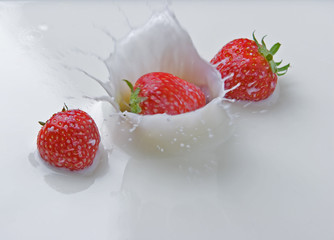 Erdbeeren platschen in Milch