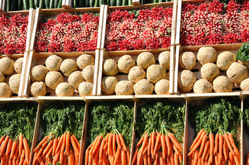 Rangées de légumes au marché