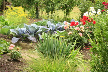 Gartenbeet