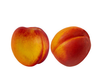 Fruit  hybrid  peach  apricot
