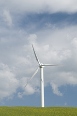 wind turbines generating power