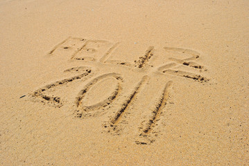 feliz  2011
