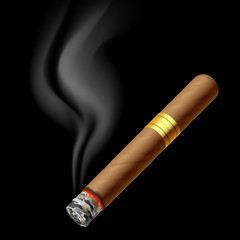 Obraz premium Smoldering cigar. Vector.