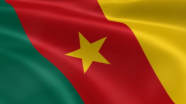 Cameroonian flag in the wind. Part of a series.