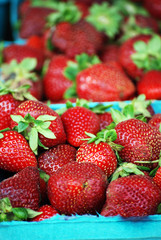 Farm Fresh Red Strawberries