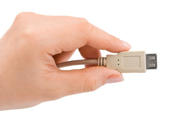 Computer cable in hand