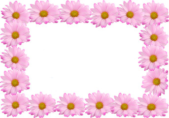 Pink daisy frame or border