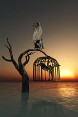 Photo sur Plexiglas Oiseaux en cages Le garde et le prisonnier avec des ailes