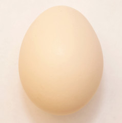 The isolated egg