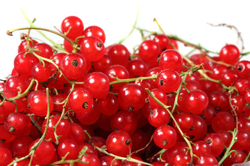 Obraz na płótnie Canvas Sweet berries red currant