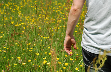 Mensch in Blumenwiese