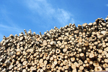 wood pile