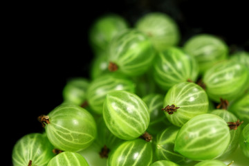 Sweet    gooseberries