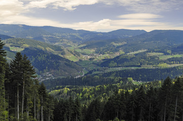 Schwarzwaldpanorama