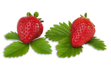 Erdbeere mit Hand erstelltem exaktem Beschneidungspfad