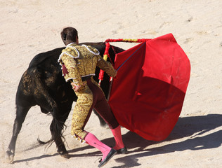 Obraz premium corrida