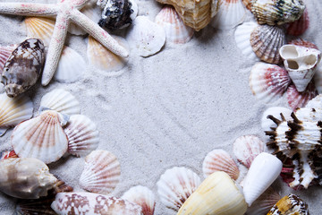 Fototapeta premium Messages between sands and shells