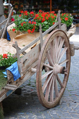 Vecchio carretto coperto di fiori © nikla