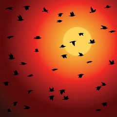Birds flock against sunset. Vector Illustration.