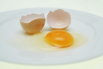 chicken eggs