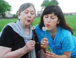 Fototapeta premium grandmother and granddaughter with dandelions