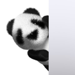3d Peeping panda © Steve Young