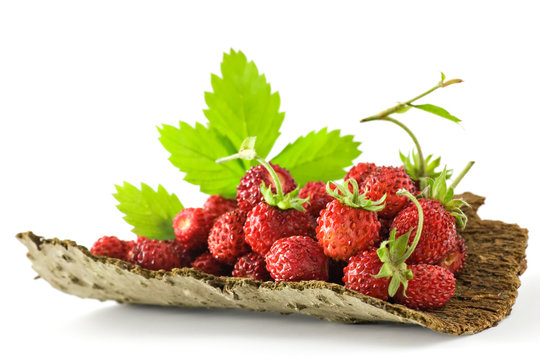 Fraises bio