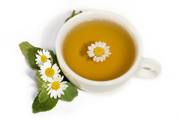 Herbal camomile tea isolated on white background