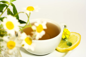 Obraz na płótnie Canvas Herbal camomile tea