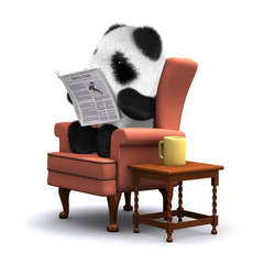 3d Teddy reads the paper with morning coffee © Steve Young