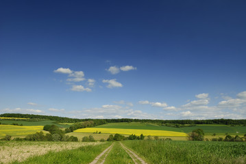 Fruehlingsimpressionen - Landschaften