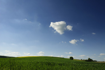 Fruehlingsimpressionen - Landschaften